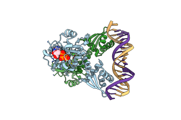 5TRD image