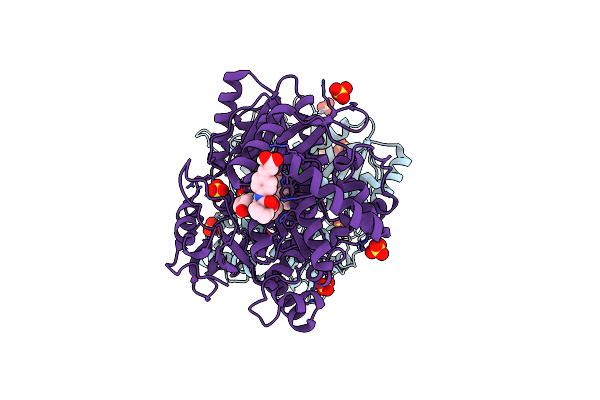 5TRH image