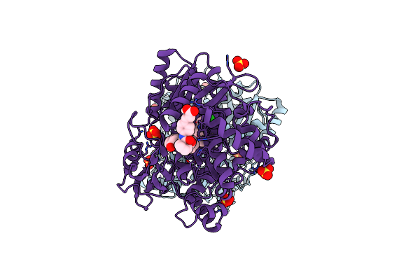 5TRI image