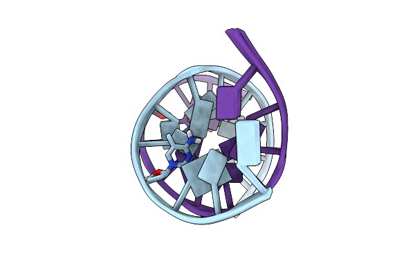 5TRN image