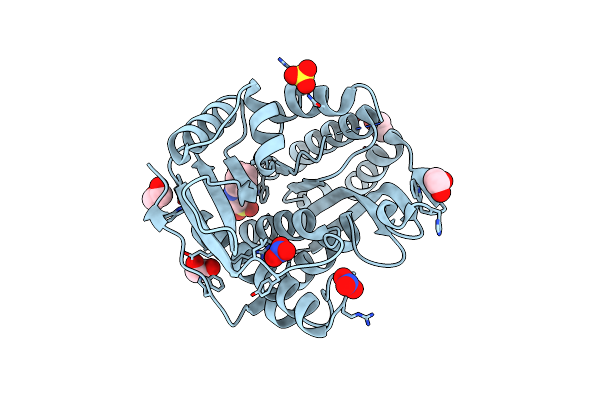 5TRW image