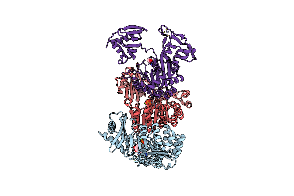 5TSG image