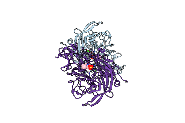 5TSP image