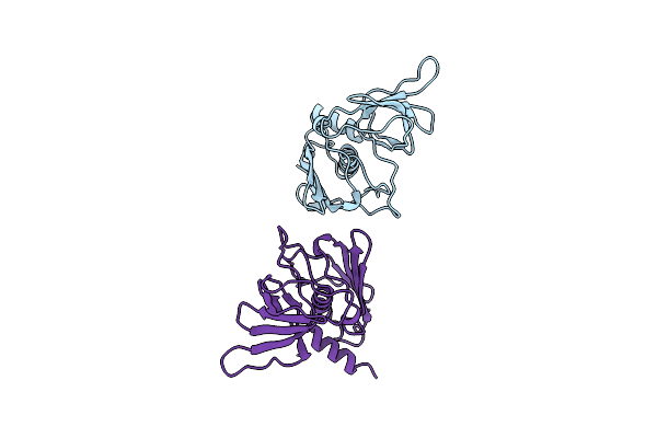 5TSS image