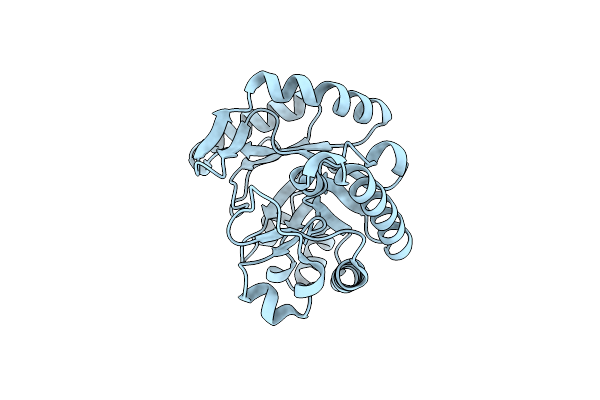 5TSY image