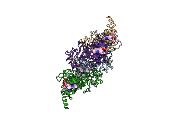 5TTF image
