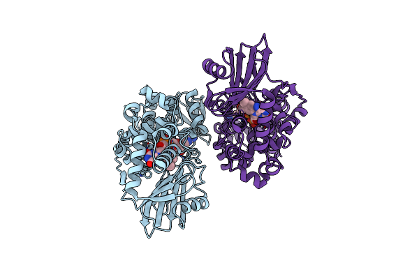 5TTJ image