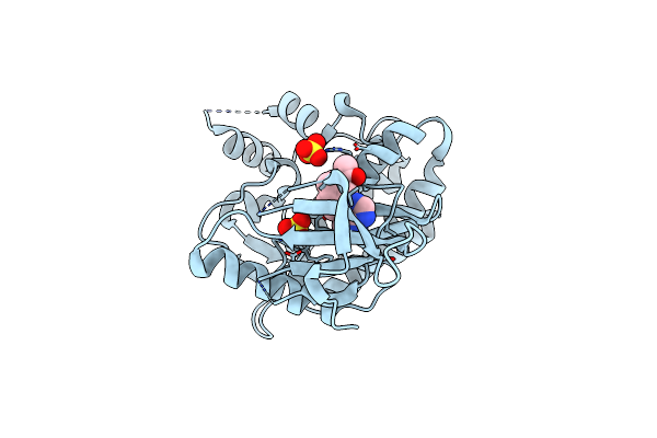 5TTU image
