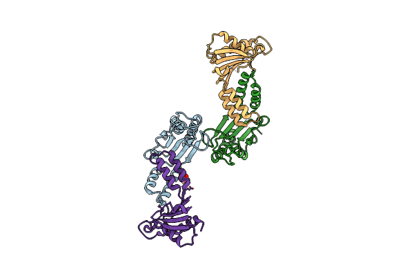 5TTX image