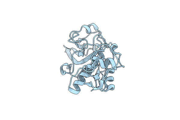5TUN image