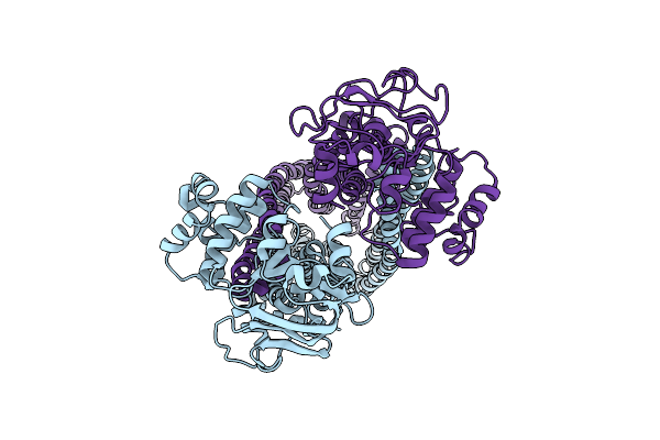 5TV4 image