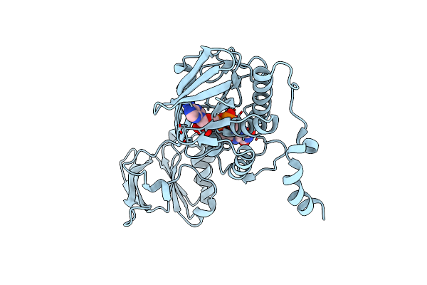 5TWB image
