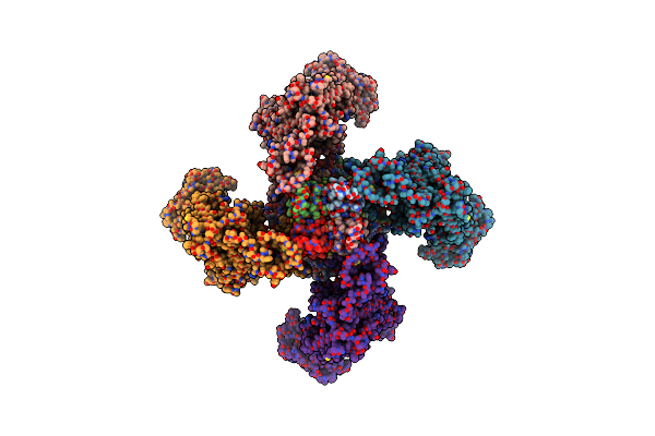 5TWV image