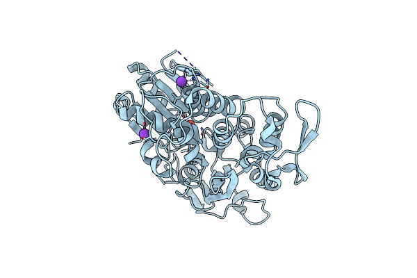 5TXG image