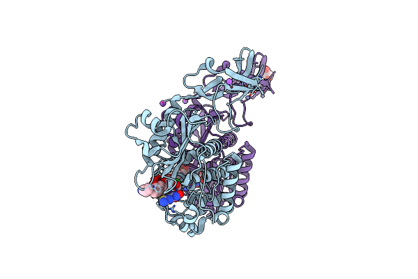 5TXI image