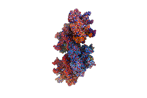 5TXV image