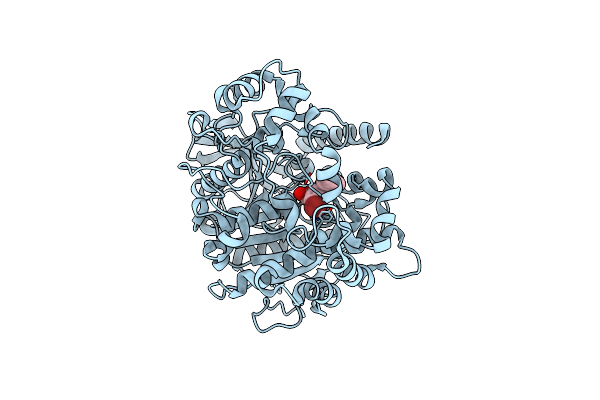 5TYJ image