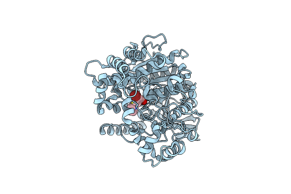 5TYM image