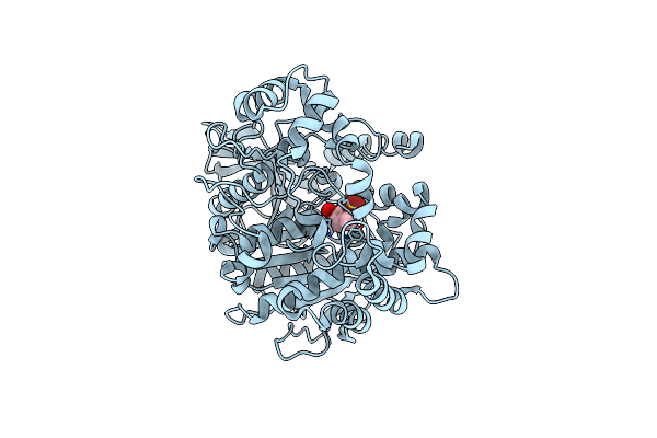 5TYP image