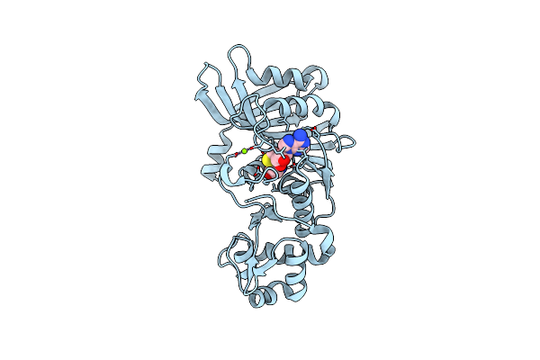 5TYQ image