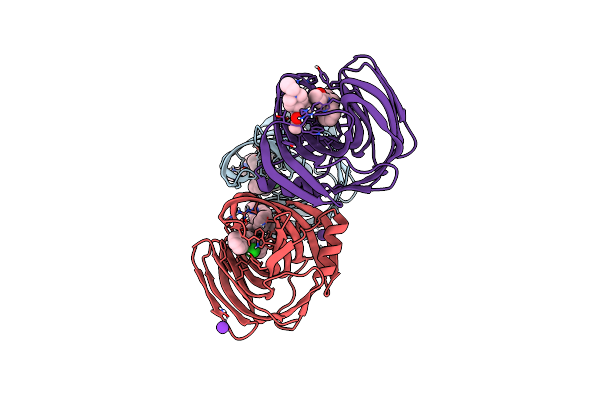 5TZO image