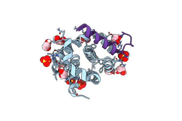 5TZP image