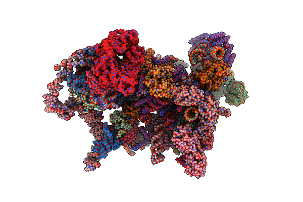 5TZS image
