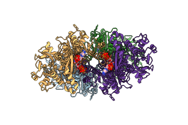 5U03 image