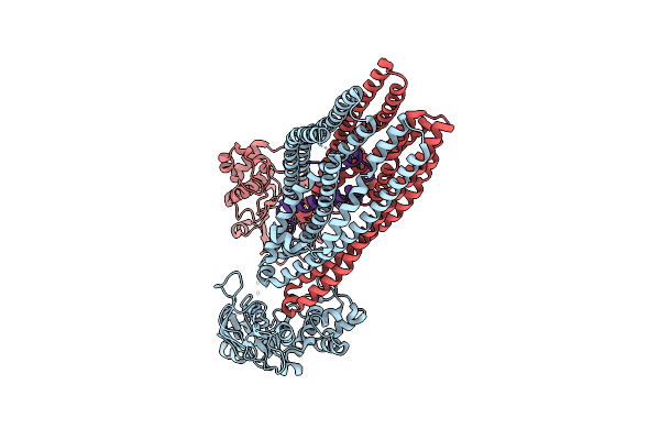 5U1D image