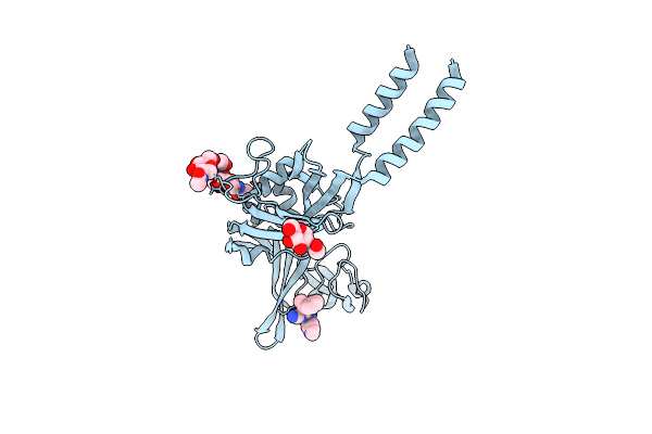 5U1V image