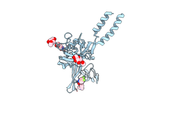5U1Y image