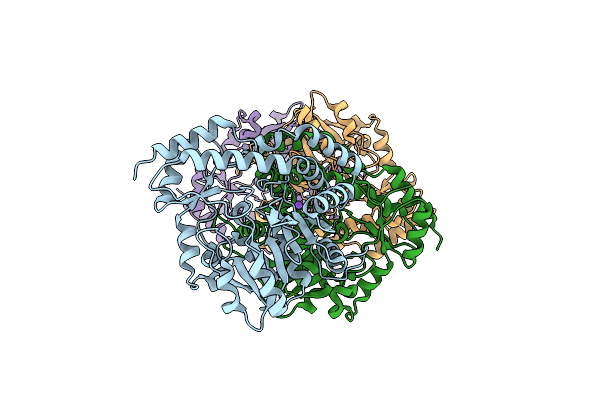 5U1Z image