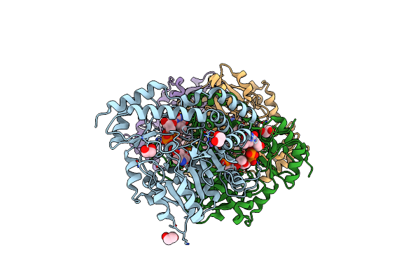 5U24 image