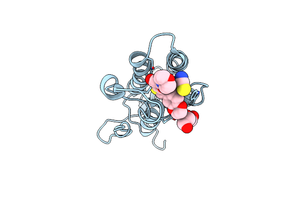 5U28 image