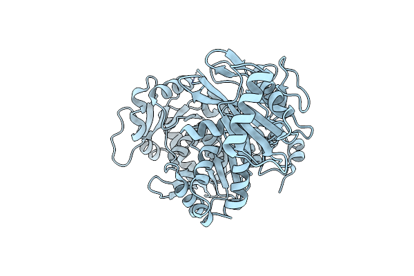 5U2A image