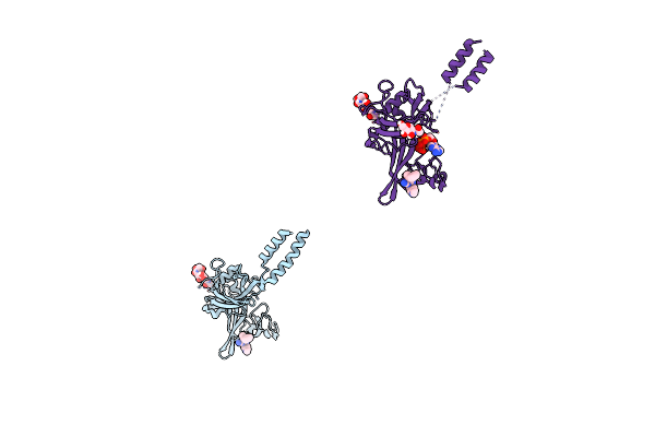 5U2H image