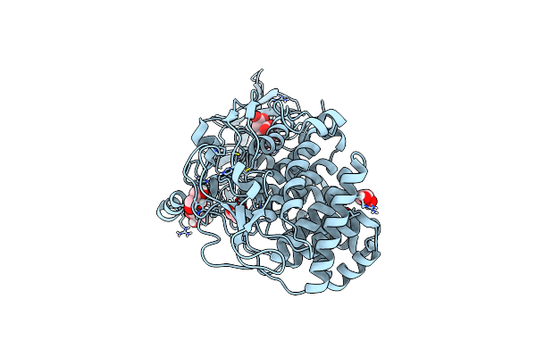 5U2O image