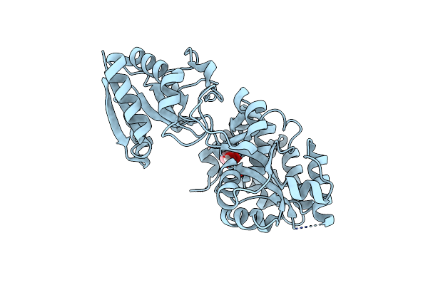 5U2P image