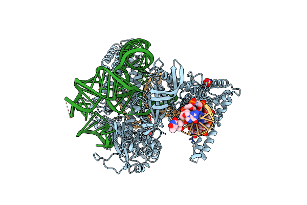 5U30 image