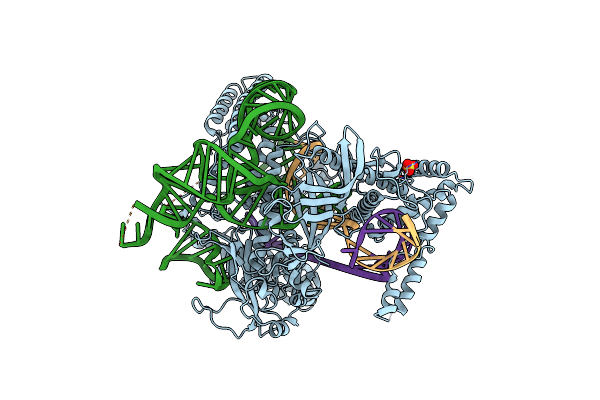 5U33 image