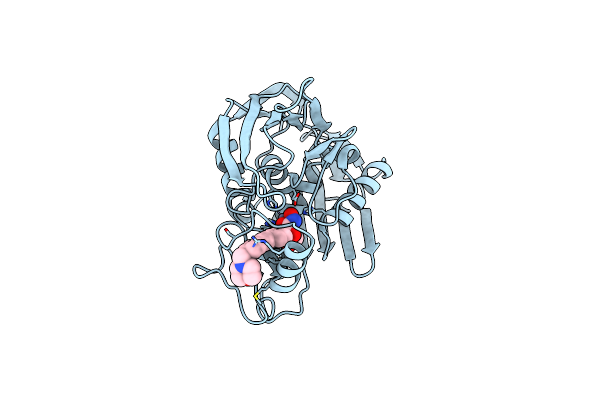 5U39 image
