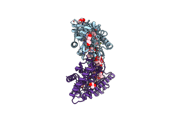 5U40 image