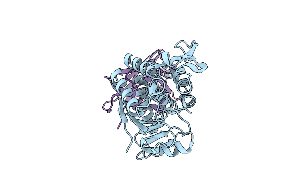 5U4M image