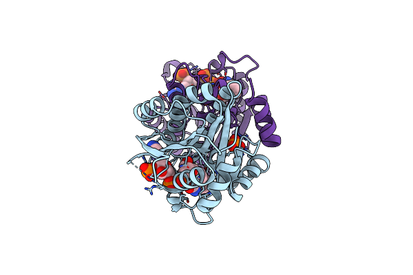 5U4S image