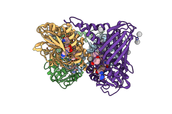5U4X image