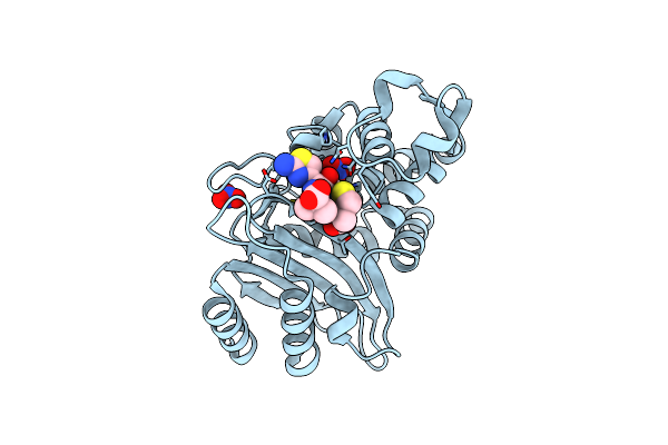 5U53 image