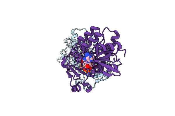 5U5I image