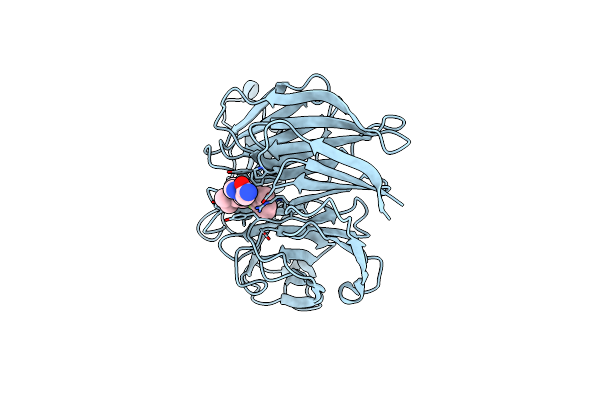 5U6D image