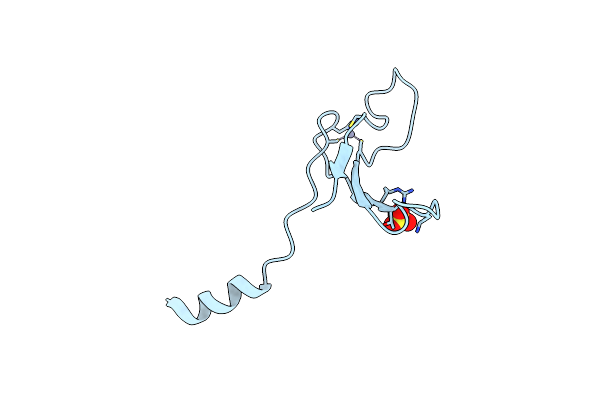 5U6Z image