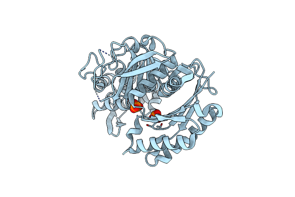 5U7P image